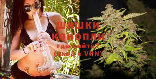 шишки Нея