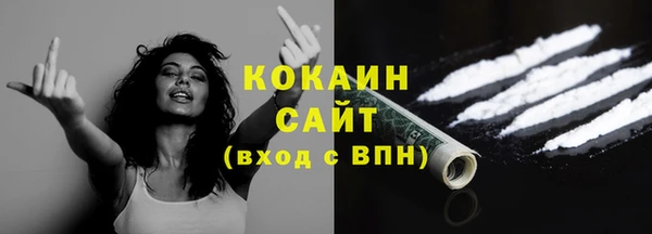 мет Новодвинск