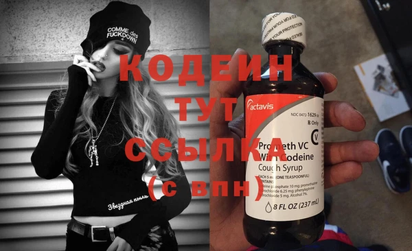 шишки Нея