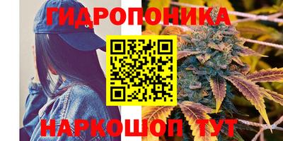 мдпв Апшеронск