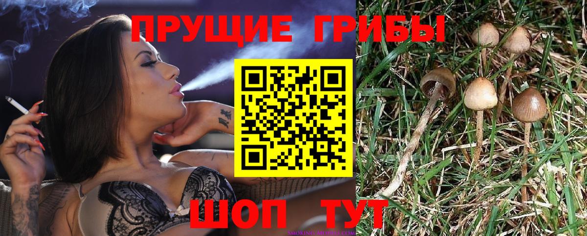 Галлюциногенные грибы ЛСД  Зерноград 