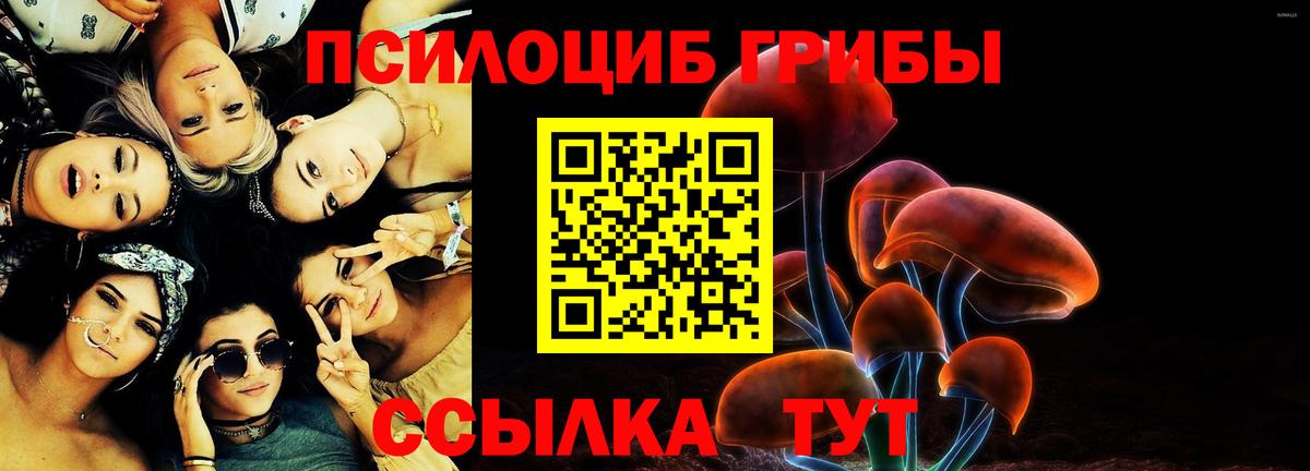 Псилоцибиновые грибы GOLDEN TEACHER  Вход с VPN  Зерноград  Псилоцибиновые грибы мухоморы 